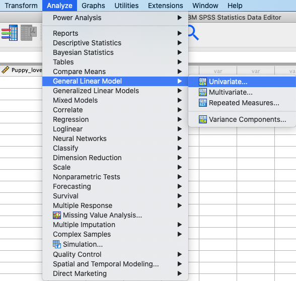 SPSS_Menu_ANCOVA4